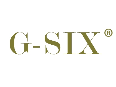 GSIX