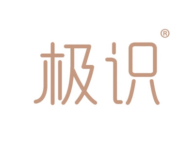 极识