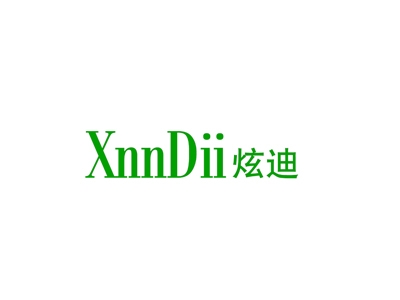 炫迪