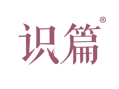 识篇