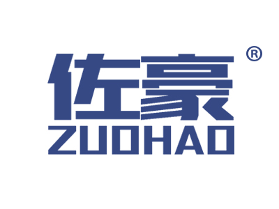 佐豪