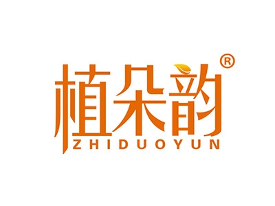 植朵韵