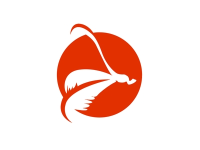 蜻蜓