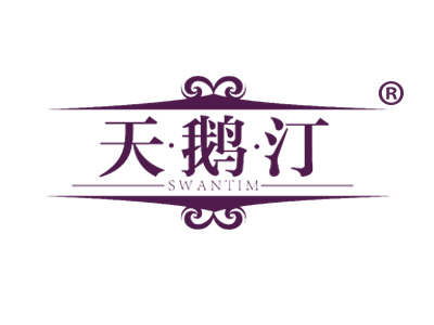 天·鹅·汀 SWANTIM