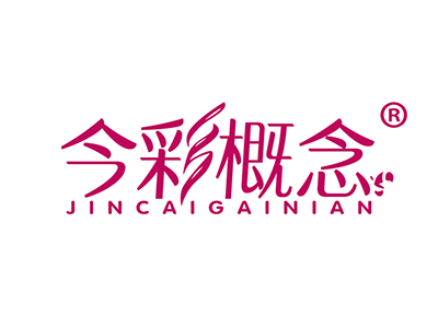 今彩概念