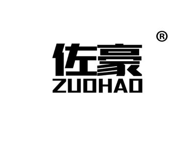佐豪