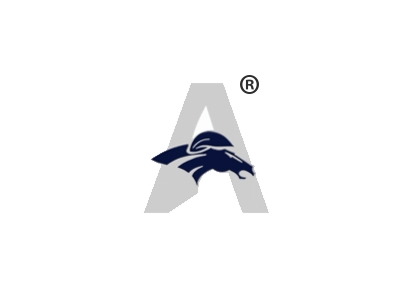 A字母