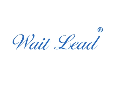 WAIT LEAD“等待主角”