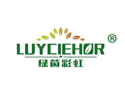 绿茵彩虹