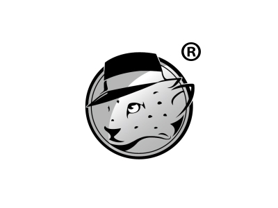 豹