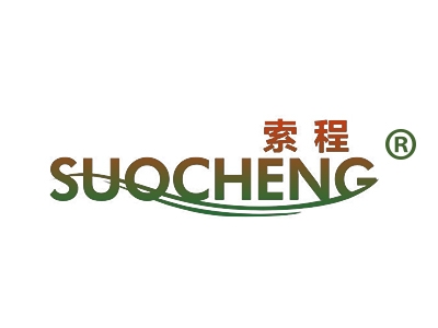 索程