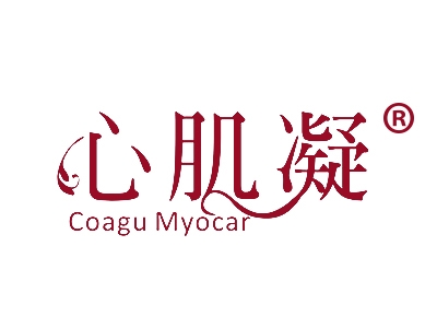 心肌凝