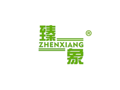 臻象