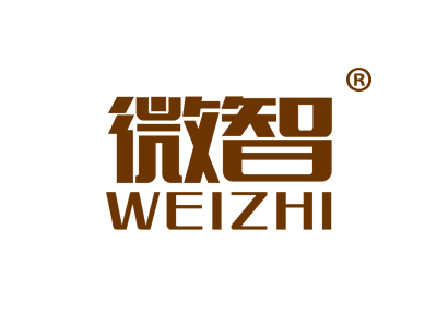 微智