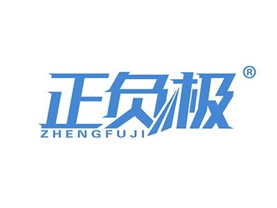 正负极