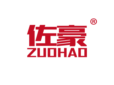 佐豪