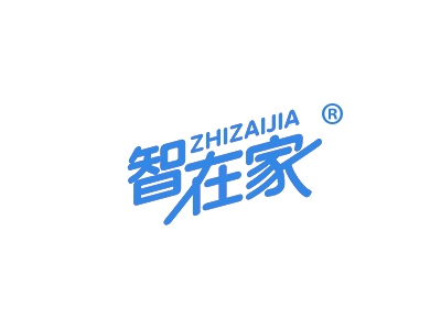 智在家