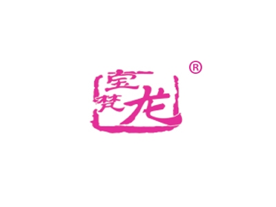 宝梵龙