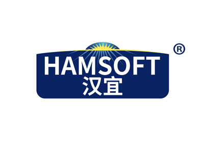 汉宜 HAMSOFT