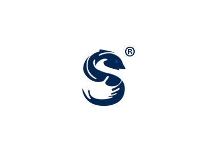 S字母