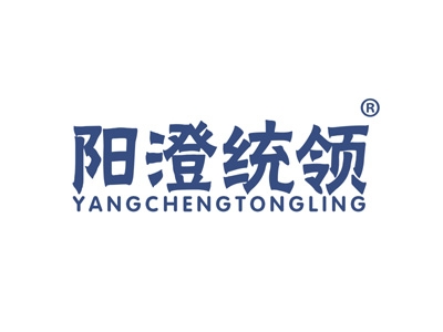 阳澄统领