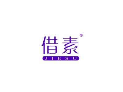 借素