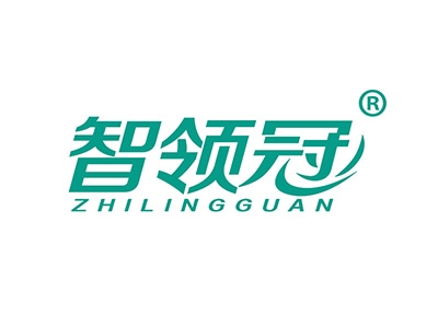 智领冠