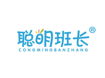 聪明班长