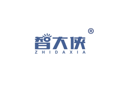 智大侠