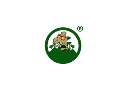 骆驼风格