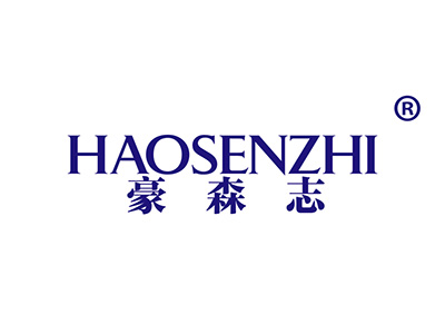 豪森志