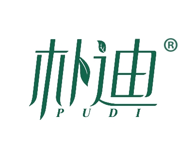 朴迪