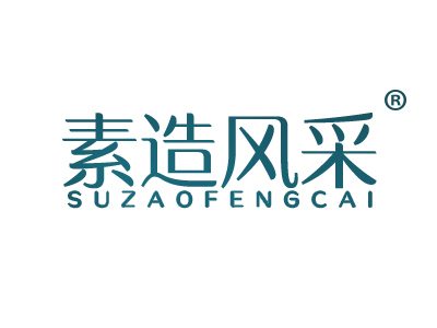 素造风采