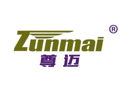 尊迈
