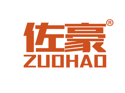 佐豪