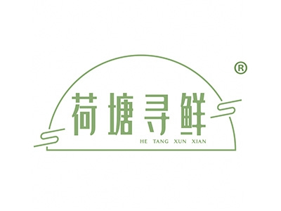 荷塘寻鲜