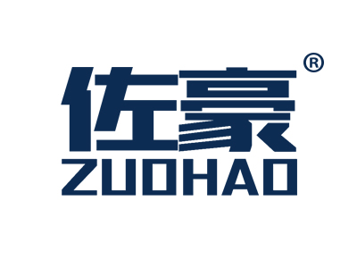 佐豪