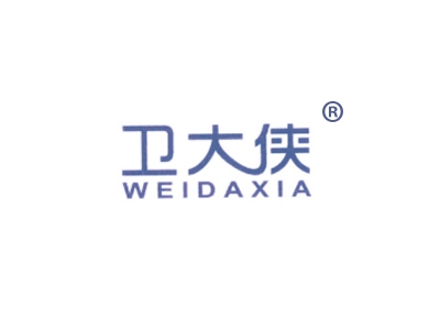 卫大侠