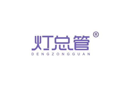 灯总管