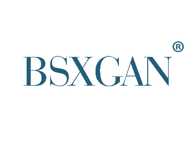 BSXGAN