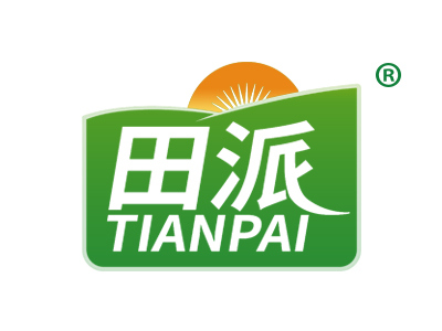 田派TIANPAI