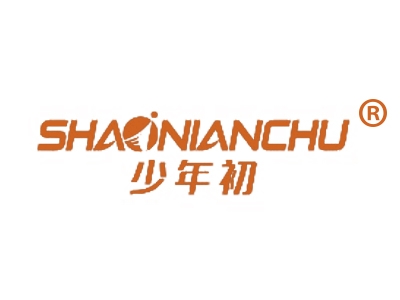 少年初