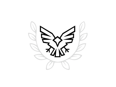 鹰