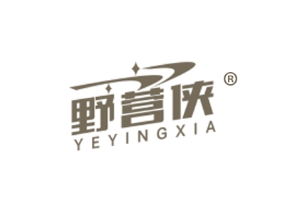 野营侠