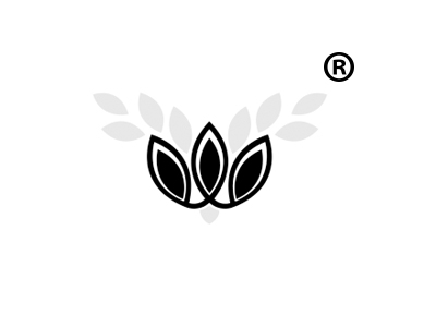 三叶草