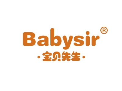 宝贝先生