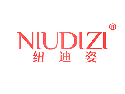 纽迪姿