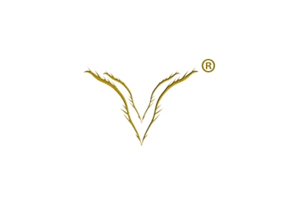 V华伦天奴