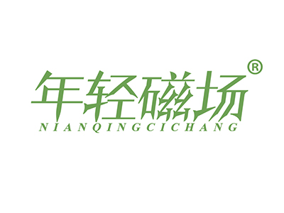 年轻磁场