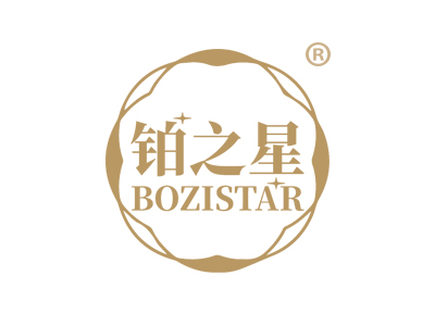 铂之星 BOZISTAR
